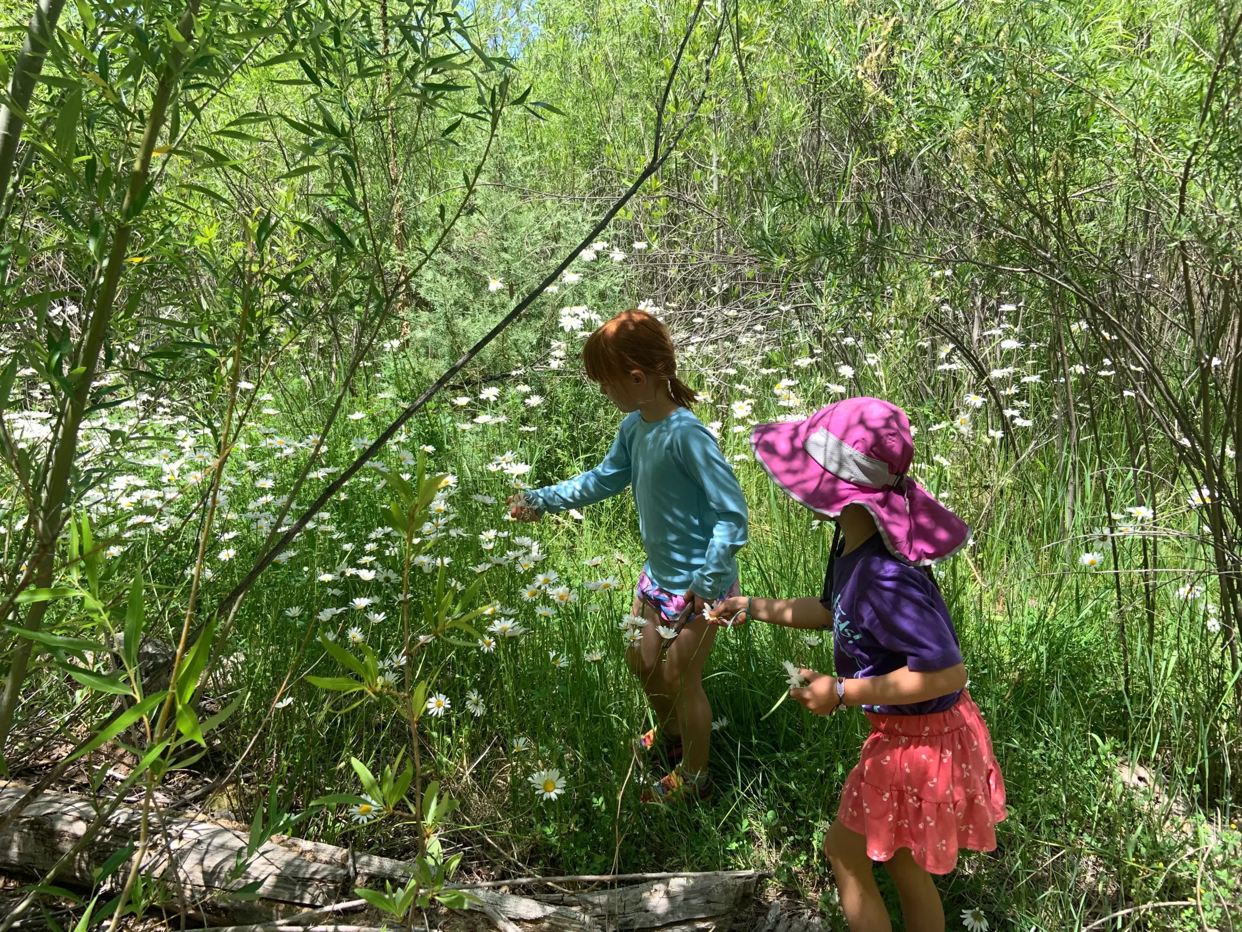 Courtesy photo: Kids hiking on the Norski Trail.