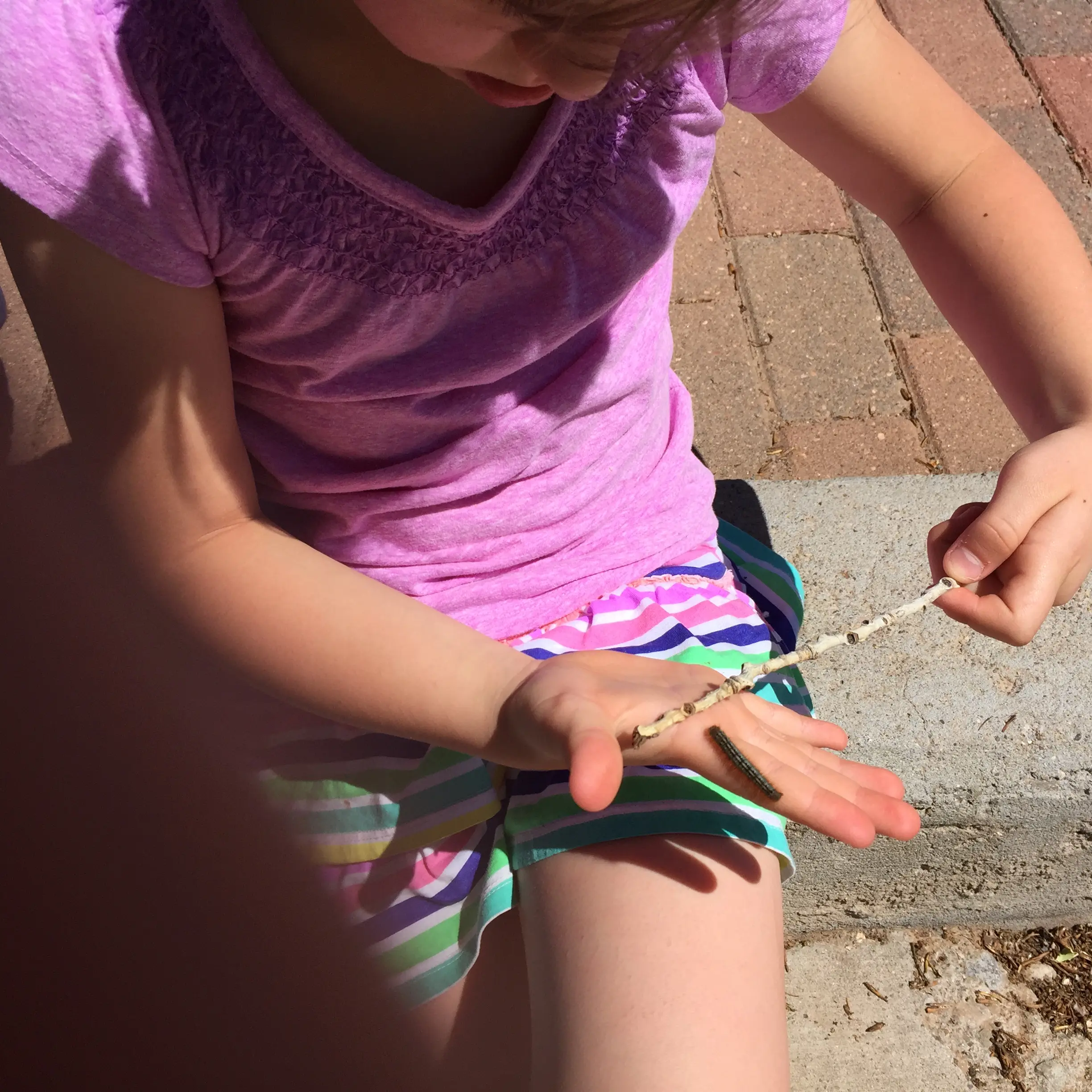 Courtesy Photo: Up close Look at the Late of Summer