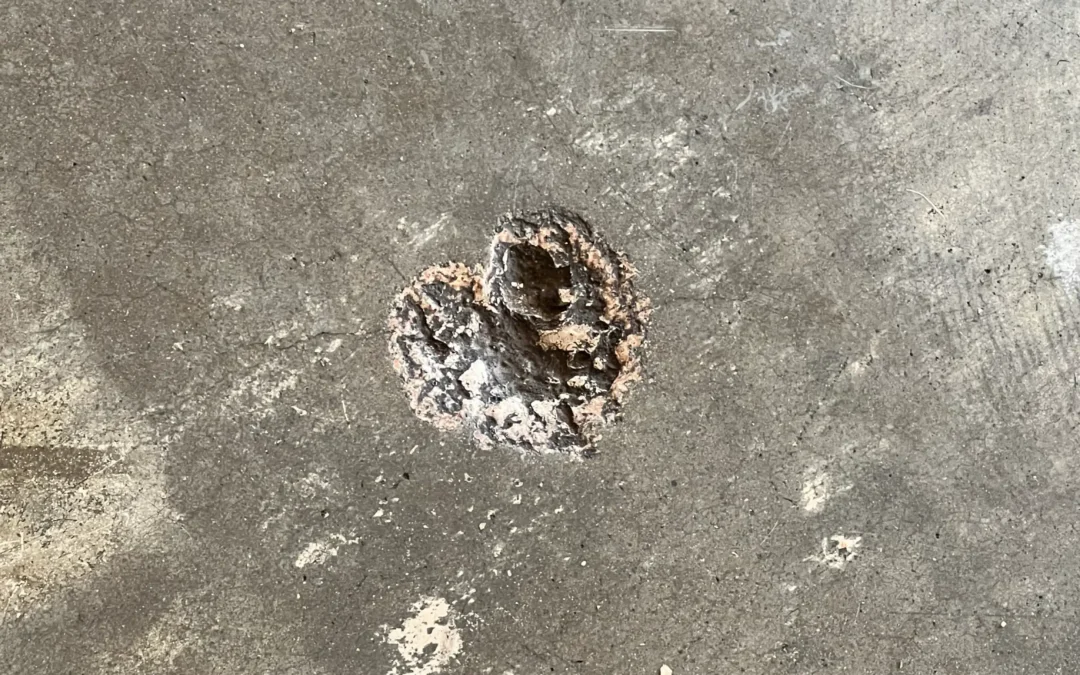 Love, Wrapped in Presence