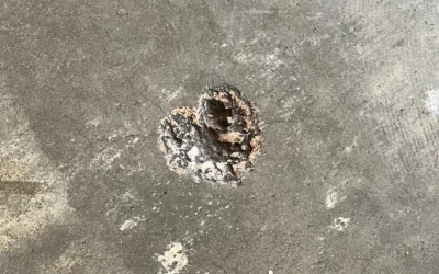 Love, Wrapped in Presence