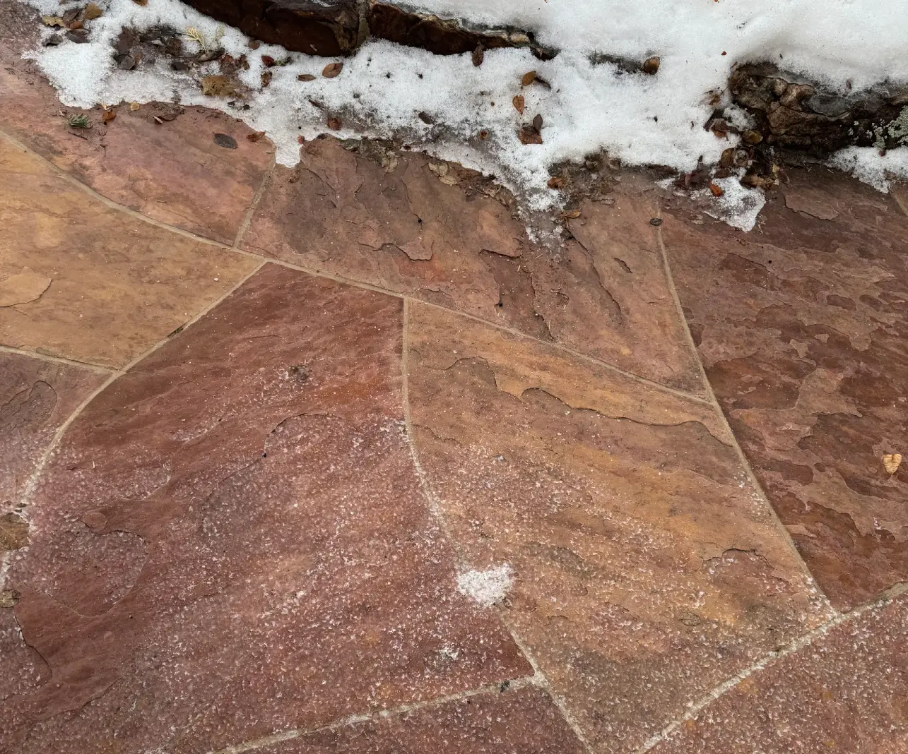 Love doesn’t melt away. It shows up in the snow, waiting to be noticed.