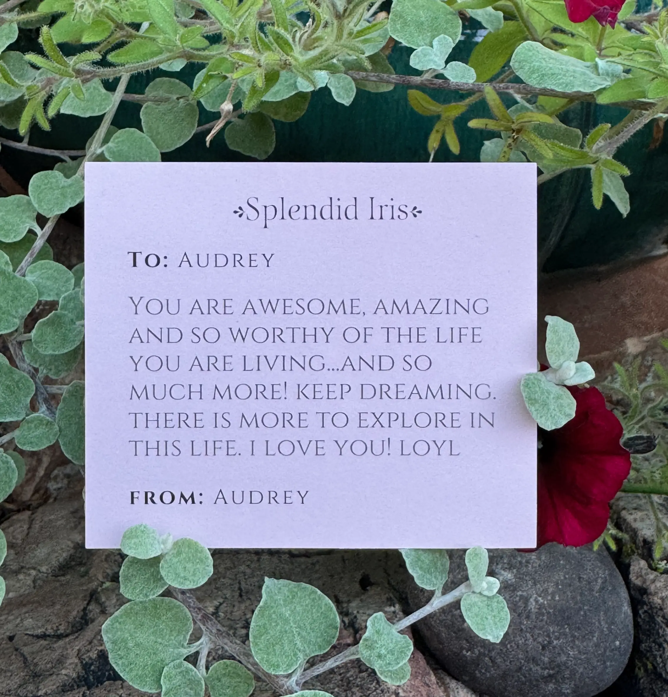 Your future self deserves surprises too. Write a gift note to yourself with every online order, and unwrap love when it arrives